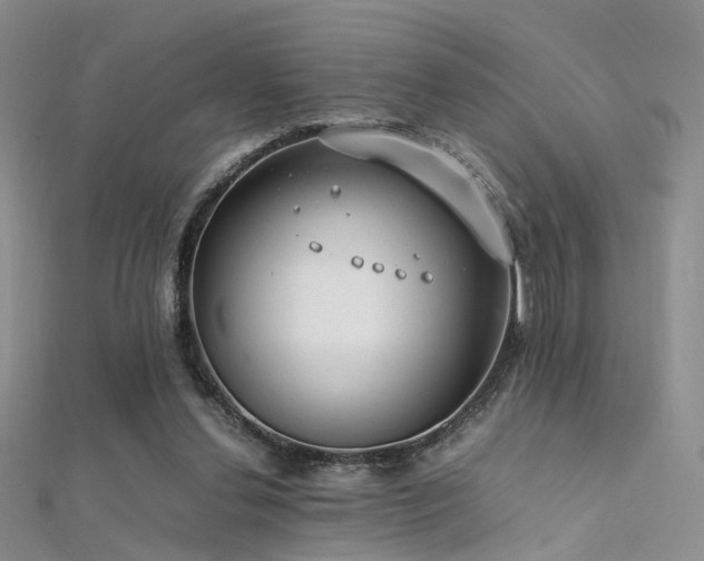 X0000112410252200908141407