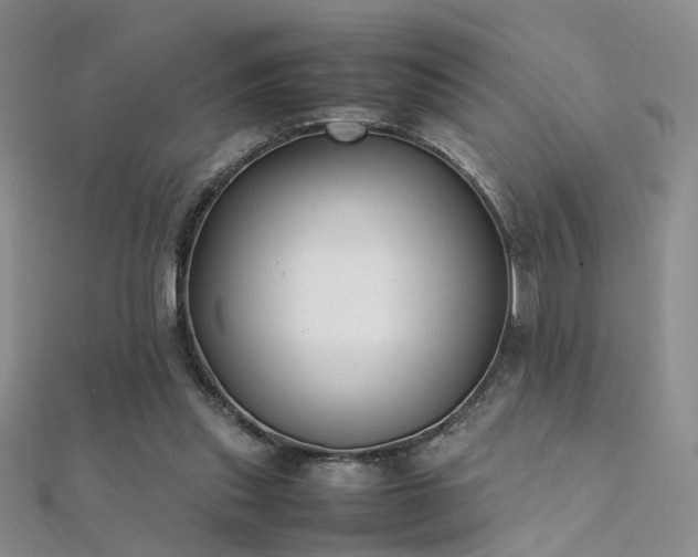 X0000112410253200908141407