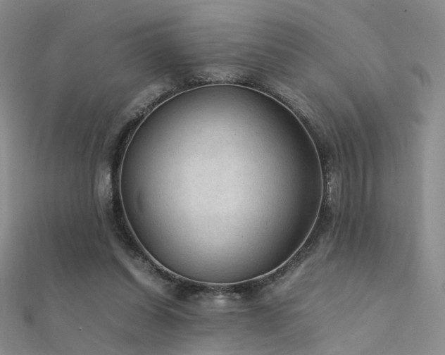 X0000112410254200908141407