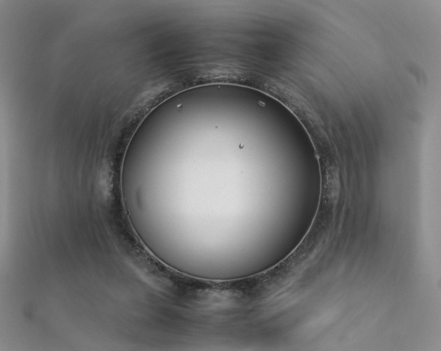X0000112410255200908141407