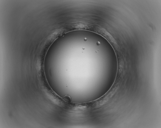 X0000112410257200908141407