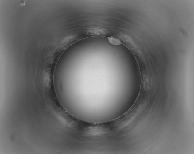 X0000112410259200908141407