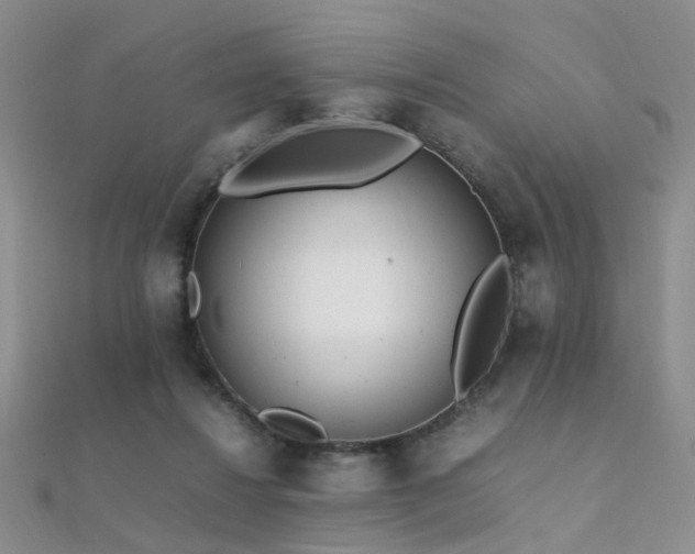 X0000112410260200908141407