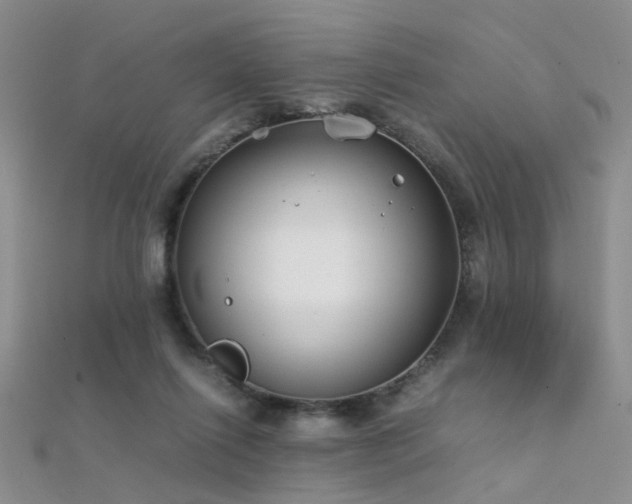 X0000112410262200908141407