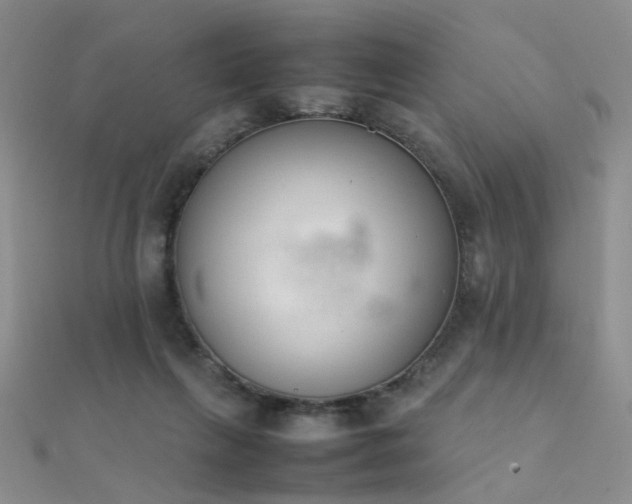X0000112410263200908141407