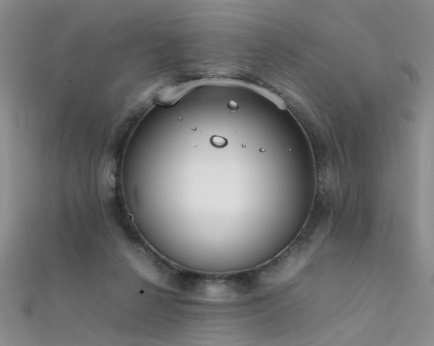 X0000112410264200908141407