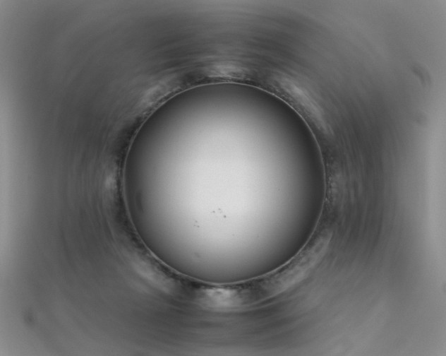 X0000112410265200908141407