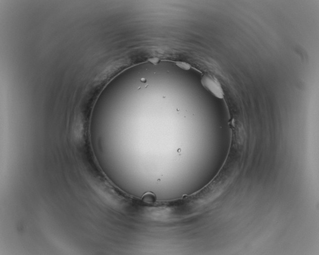 X0000112410266200908141407