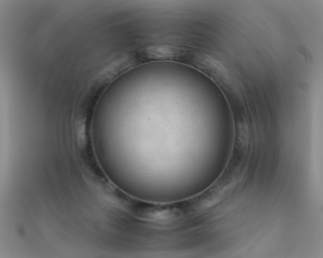 X0000112410267200908141407