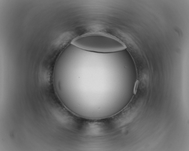 X0000112410268200908141407