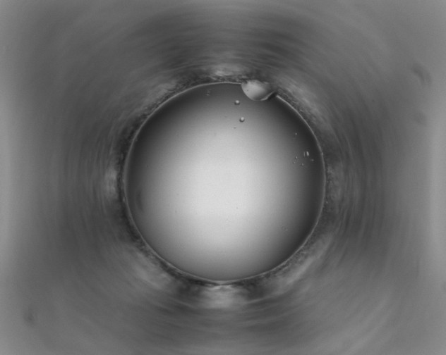 X0000112410269200908141407