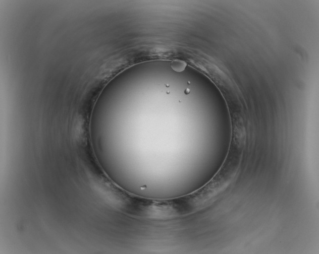X0000112410270200908141407