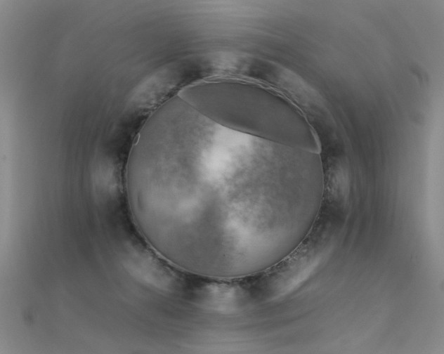 X0000112410272200908141407