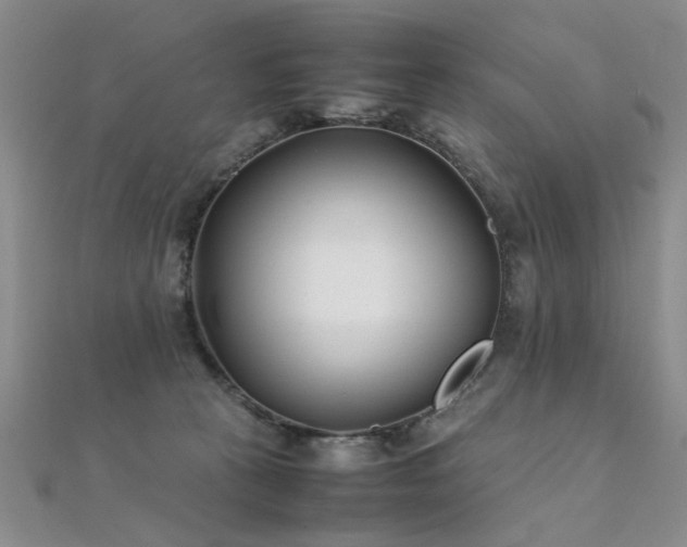 X0000112410273200908141407