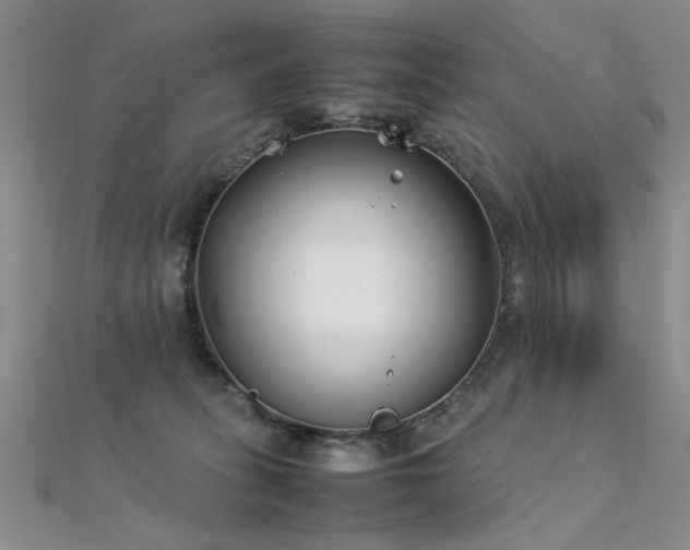 X0000112410275200908141407