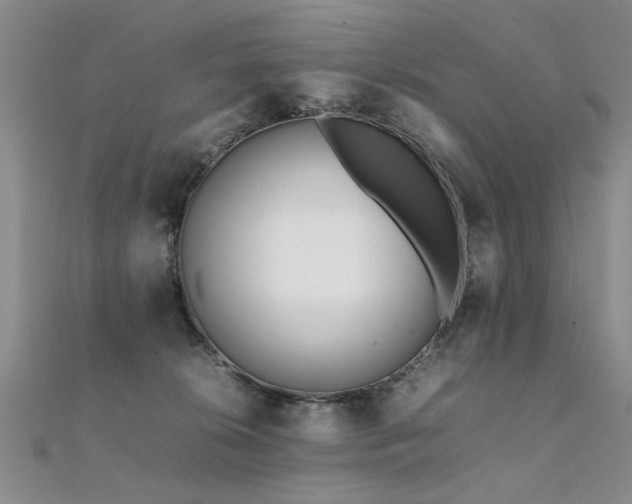 X0000112410276200908141407