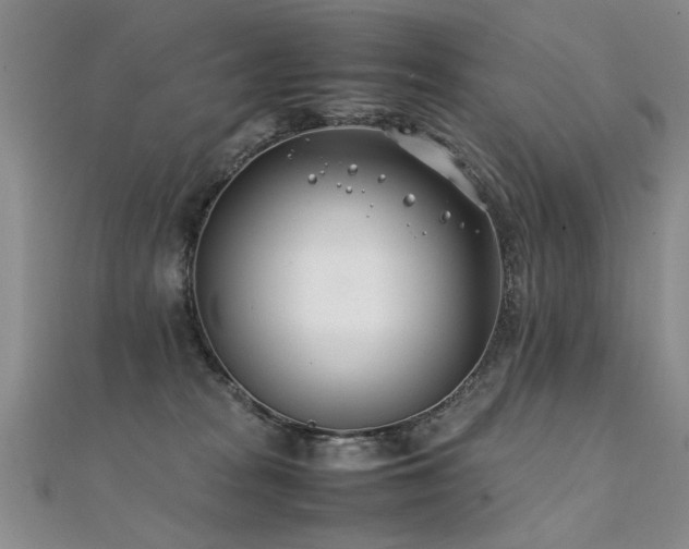 X0000112410277200908141407