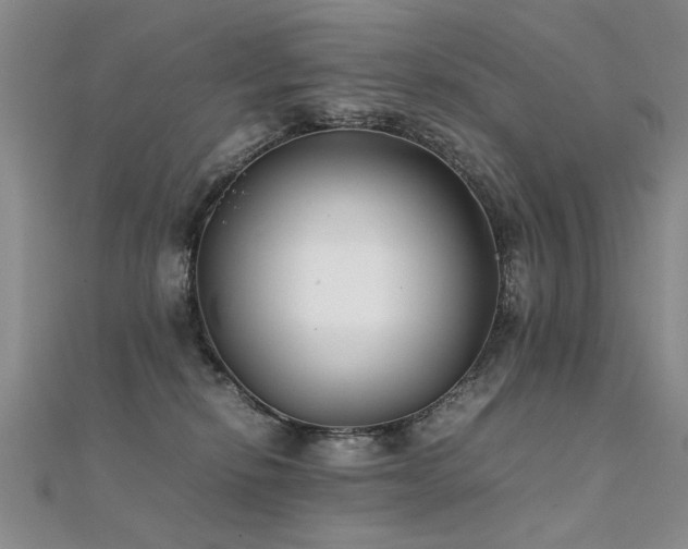 X0000112410278200908141407