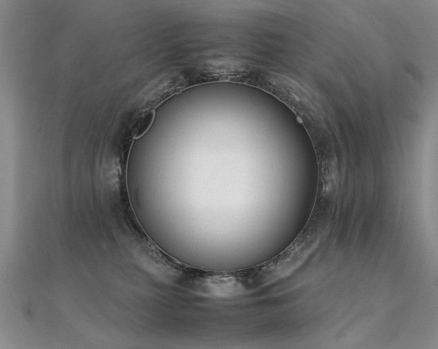 X0000112410279200908141407