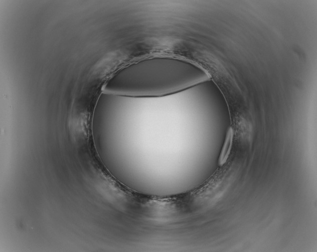 X0000112410280200908141407