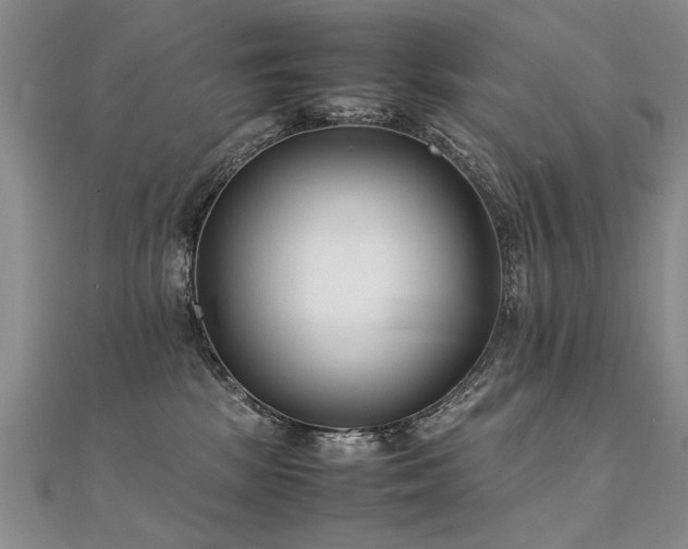X0000112410281200908141407