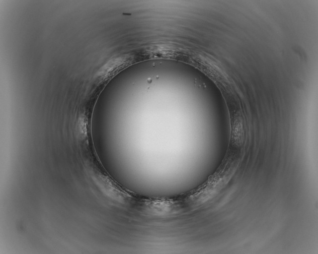 X0000112410282200908141407