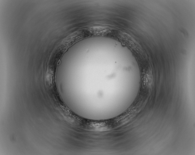X0000112410283200908141407