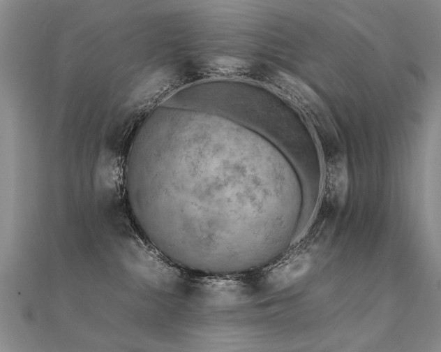 X0000112410284200908141407