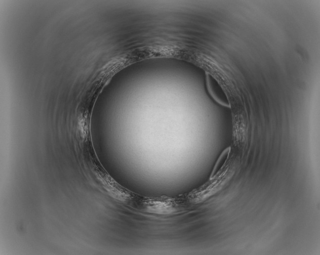 X0000112410285200908141407