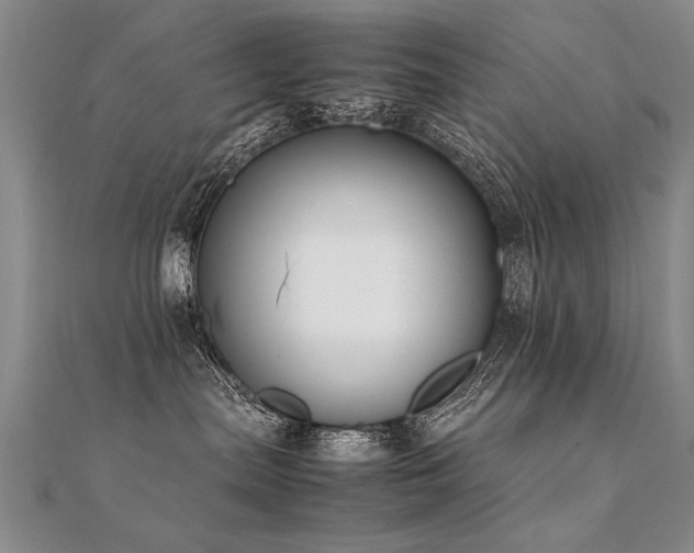 X0000112410287200908141407