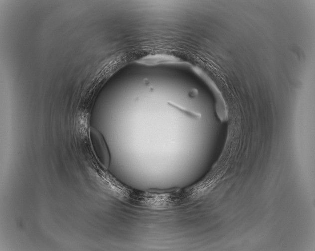 X0000112410288200908141407