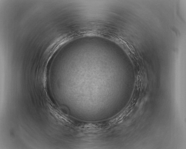 X0000112410290200908141406