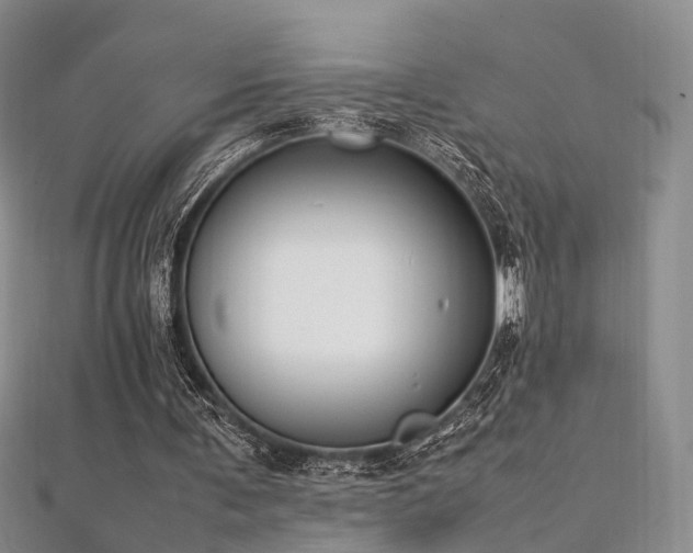X0000112410291200908141406