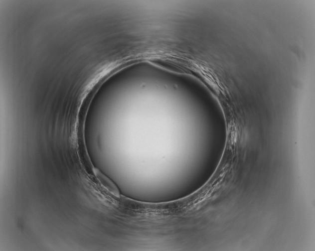 X0000112410292200908141406