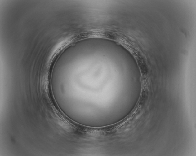 X0000112410293200908141406