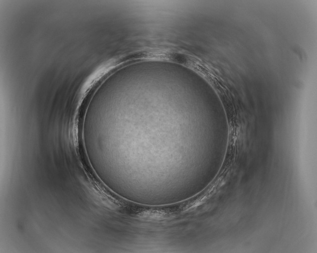 X0000112410294200908141406