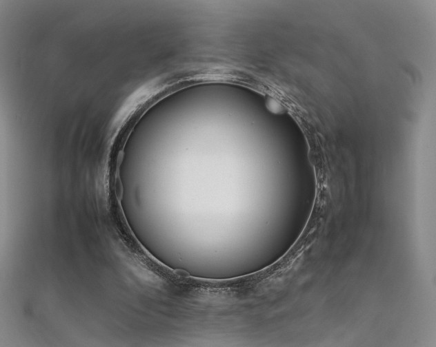 X0000112410296200908141406