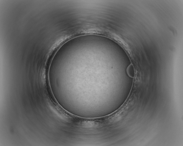 X0000112410298200908141406
