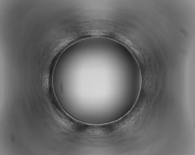 X0000112410299200908141406