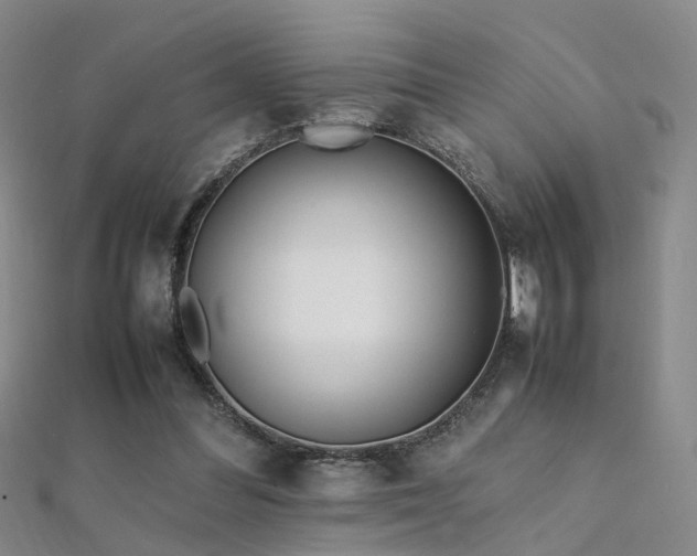 X0000112410300200908141406
