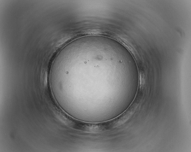 X0000112410301200908141406