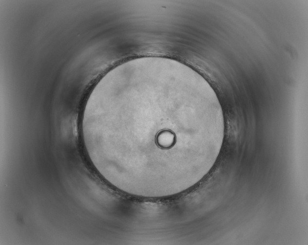 X0000112410302200908141406
