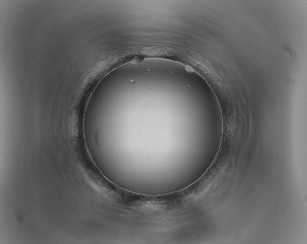 X0000112410303200908141406