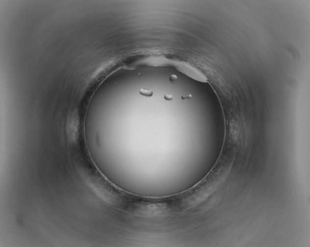 X0000112410304200908141406