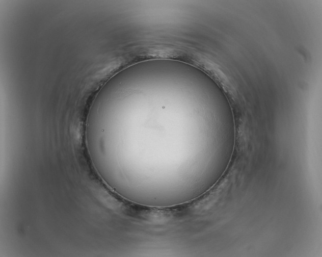 X0000112410305200908141406