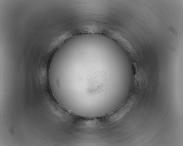 X0000112410306200908141406