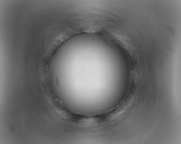 X0000112410307200908141406