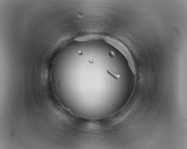 X0000112410308200908141406