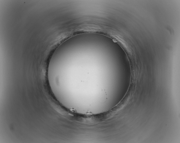 X0000112410309200908141406