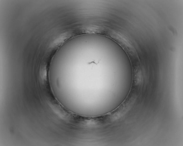X0000112410310200908141406